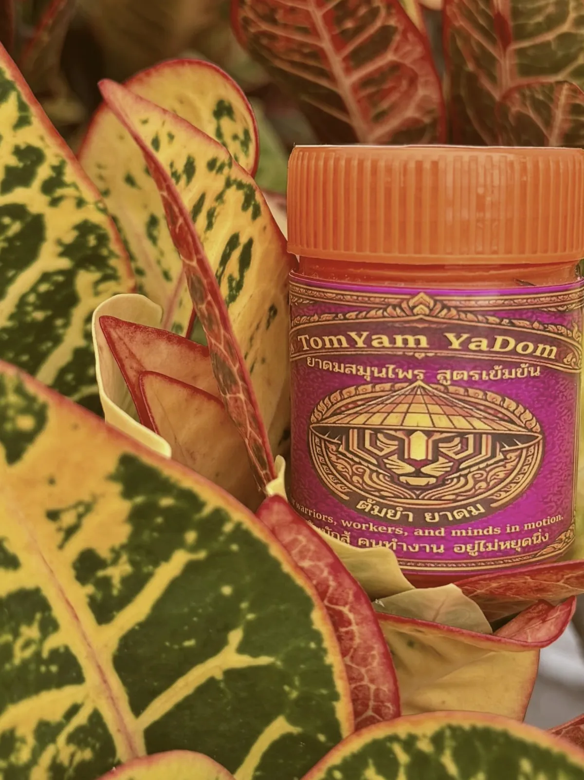 Radiance Thai herbal inhaler with orange cap among colorful croton leaves