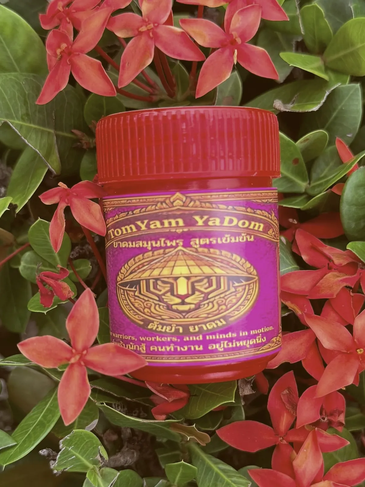 Vitality Thai herbal inhaler with red cap surrounded by red ixora blossoms